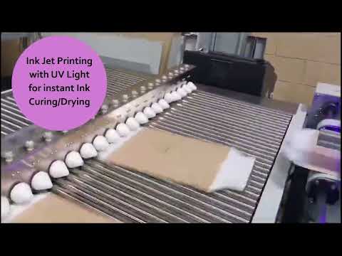 High Speed Corrugated Amazon Mailer Making Machine including INK JET Printing | Manon